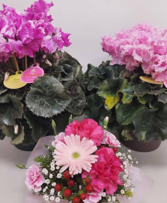 お祝いのお花を頂戴いたしました！
