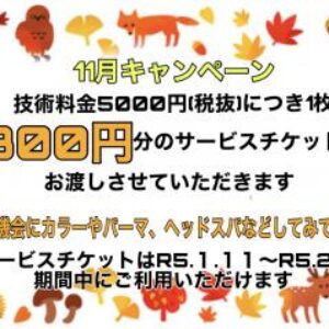 11月のキャンペーン