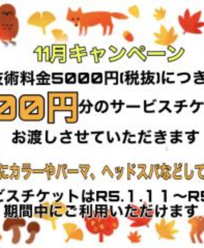 11月のキャンペーン